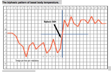 Example Of Ovulation Temperature Chart